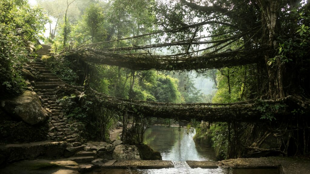 Home chirayu sharma vwvdjfjelho unsplash