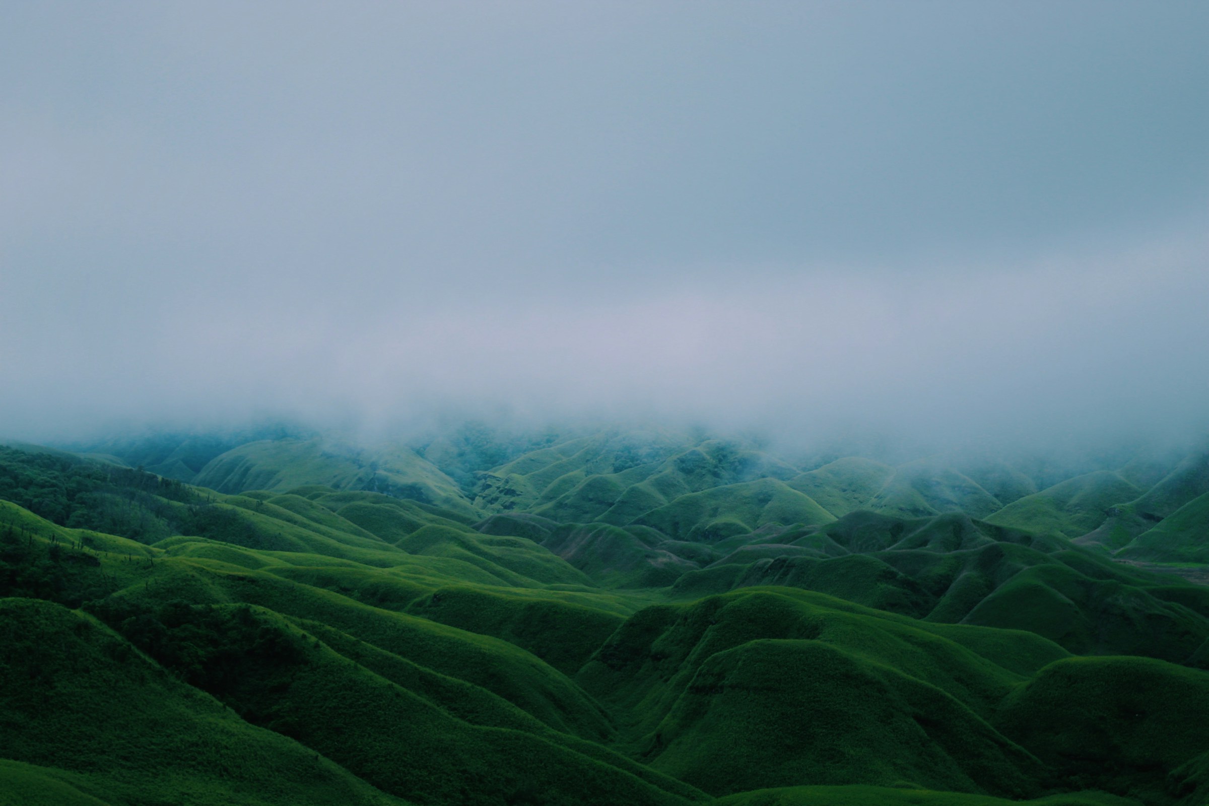 Home sayli satpute r5ohs2bpn1c unsplash